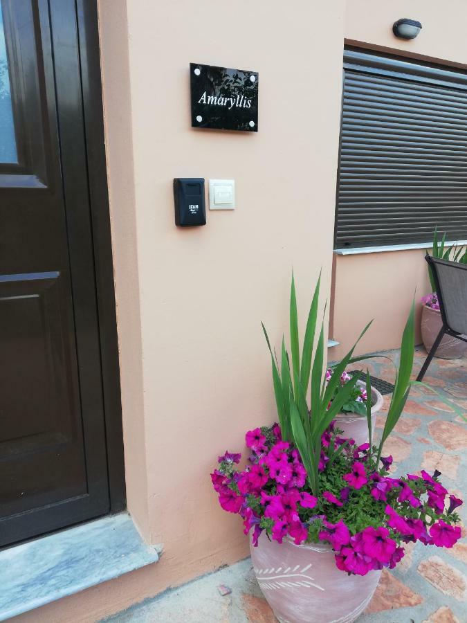 Dimitra - Loft Apartments Corfu  外观 照片
